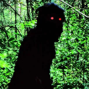 Uncle Boonmee